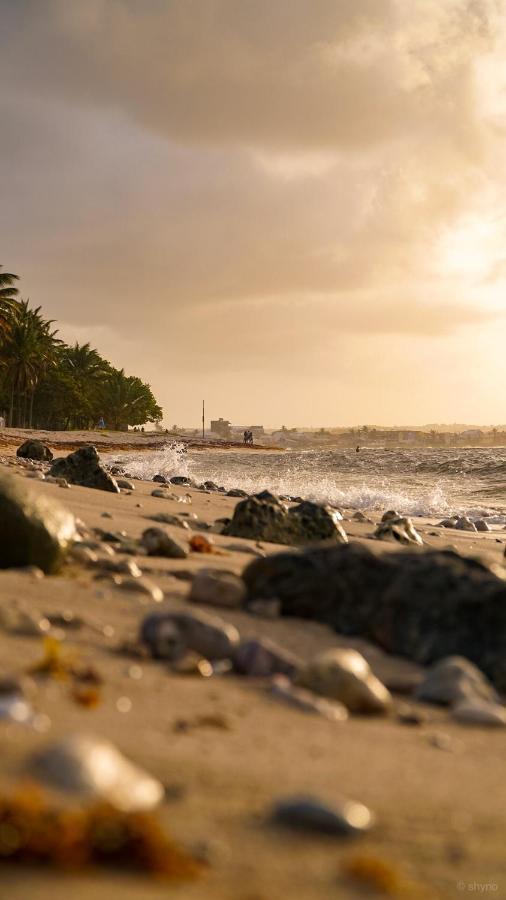 Joli Appartement Avec Vue Au Moule Le Moule Kültér fotó